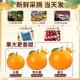 桦萱四川爱媛38号果冻橙【发出多地隔日达】眉山甜柑橘子水果礼盒 5斤A+级大果【60-70mm】净4.5斤