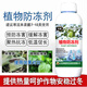 Huaneng plant rape antifreeze liquid fruit tree cold protection plant cold resistance vegetable antifreeze warm anti-cold anti-freeze anti-freeze liquid