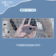 Casollen Hatsune Miku Keyboard Sticker Animation 2D Película de teclado personalizado Adecuado para Lenovo Huawei Película protectora SO Dell HP Xiaomi Película a prueba de polvo YH-2694 Mensaje de pedido Modelo de computadora