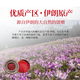 [Direktverkauf in der Apotheke] Qithcloud Irans erster Safran 1G Geschenkbox Echtes Peking Dongguan Ziyingqi Kaufschiff 1G *1 Box (10 Boxen *Importierte Safran)