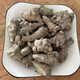 Xiao Churen [Direct officiel] Clean Sanqi Yunnan Wenshan n'a sélectionné aucune coupe et aucune coupe Spring Sanqi tête pelée Sanqi Tianqi 30 Head 500g Pas de coupe [Répérence élevée]