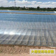 Yuanxing (YUANXING) plastic film thickened transparent plastic cloth rainproof cloth decoration dustproof insulation film greenhouse film waterproof cloth 8 wires 2*3