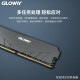Gloway Gloway8G DDR4 3000 Desktop Memory Tiance Series-Modern Gray Compatible with 2666/2400
