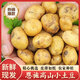 Enshi small potatoes, sun-dried, freshly dug, yellow-skinned mini potatoes, glutinous alpine potatoes, Marco potatoes, 2Jin Jin equals 0.5kg - large fruit - duck egg size (with box)