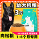 German Shepherd Puppy Dog Food 20 Jin Jin equals 0.5 kg Black East German universal golden retriever Teddy Labrador large dog 3 Jin Jin equals 0.5 kg 5kg Beef flavor pure food 10 Jin Jin equals 0.5 kg (for 1-6 months only)