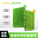 COOLGRASS simulated turf, fake turf, artificial turf, outdoor courtyard balcony, roof, villa courtyard, outdoor carpet turf, 4cm special density (1 meter wide), take a few pieces and send them to a few meters