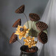 AIMAN dried lotus flower bouquet lotus lotus real flower Zen style air-dried Chinese flower arrangement living room decoration ornaments to attract wealth Combination 1 (without bottle)