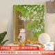 Beisijia digital oil painting diy landscape flowers hand-painted oil painting coloring living room decorative painting children's hand-painted animation hanging painting cat on the windowsill 50*40cm stretched solid wood inner frame set