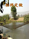 Customized thickened fishing net breeding net pull net clear pond fishing net lift net fish pond pollution blocking partition net nylon net 90 strands 3 cm per square