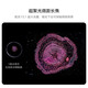 HUAWEI Pura 70 Pro+ 旗舰手机 双卫星通信 超高速风驰闪拍 华为p70pro+智能手机 魅影黑 16+1T全网通