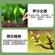 Woshenbao nitrogen, phosphorus and potassium garden greening special water-soluble compound fertilizer slow-release fertilizer for lawn seedlings, flowers and large trees 20kg*1 bag