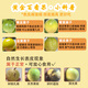 Jingxiansheng Guangxi Golden Passion Fruit Net weight 3Jin Jin is equal to 0.5kg Single fruit 45-60g/24-36 fresh fruits Straight from the source