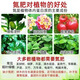 Xinlianxin genuine agricultural urea high-nitrogen fertilizer for vegetables, flowers and fruit trees, general fertilizer, chemical fertilizer, organic compound fertilizer 80Jin Jin equals 0.5kg, original packaging 80Jin Jin equals 0.5kg, one bag express delivery, genuine guarantee, 10% compensation for fakes