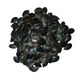 Grafted rootstock black pumpkin seeds grafted seeds black pumpkin seeds rootstock seeds black pumpkin seeds black seeds 250 grams