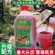 Garden machinery chain saw oil two-stroke 2T4T gasoline mixed combustion oil logging motorcycle oil 5Jin Jin equals 0.5kg affordable pack 1 bottle 2T