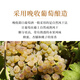 圣芝（Suamgy）G126双叶城堡老藤晚收半甜白葡萄酒750ml 单瓶装聚会 原瓶进口