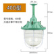 Led explosion-proof chandelier factory workshop warehouse special explosion-proof fire security lighting gas station three-proof lamp 400 type lampshade with 200WLED bulb