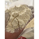 Wudeli no additive Mehl Neues nationales Standardmehl GBT1355-2021 Shaanxi Farm Wheat Mehl Keine Additive enthalten Keim 70 Mehl 10jin [Jin ist gleich 0,5 kg] (2 Pakete)