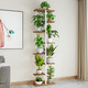 WORM Home Flower Rack Sakagi Einfache Mode mehrschichtige Blumenregal Innenbalkon Dekoration Rack Schmelztes Wohnzimmer Blumenregal Sukkulente Blumenregal [Blumenregal H719] Schwarze Garnierstruktur Klammer + schwarze Eiche