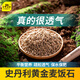 Stanley gold soft medical stone granular paving, special green plants for succulent flowers, general soil potting mixed with soil and stone 5Jin Jin is equal to 0.5kg