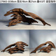 Jphznb Purple Teak Wood Fine 45-60 см. Натуральный аквариум.
