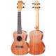 Ukulélé du fusion ukulélé vignette complète en acajou complet Small Guitar Muc700 Sabiliwood 23 pouces