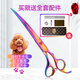 Xuanniao pet scissors household dog hair cutting curved scissors trimming shearing scissors pet grooming scissors tool set seven colors (straight scissors + curved scissors)