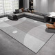 Carpet Living Room 2025 new light luxury sofa floor mat without washing and erasable room bedroom home coffee table blanket thick modern 15601 300cm*200cm (upgraded thickened model easy to care)