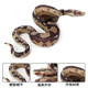 Oenux children's toys simulated snake wild animal model ornaments figures crawling snake pranks python glasses rattlesnake M-681 green anaconda overall is a small model (size and size to see the picture Specifications)