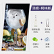 FAST.KING Gin and Wine Gin and Tonic Mélange de base de gin Liqueur 700 ml Boîte entière abordable 700 ml 12 bouteilles