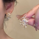 Tapaying Fashionable Zircon Fireworks Earrings Light Luxury High-end Autumn and Winter Earrings Korean Style Earrings Fashion Earrings New Style Fireworks Earrings Pair