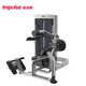 Inpais Back Tarne Fe9732