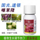 Guoguang Daoling 0.1% Thidiazuron, Melon, Grape, Apple Tree Expansion Agent to Promote Fruit Growth and Plant Growth Regulator 30ml (40 bottles 1 box)