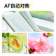 SONGDIAN Digital Student Entry-Level Camera Portable Card Machine Vlog HD Camera DC302 Fairy Powder 32G Memory