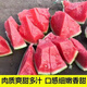 High-yielding watermelon seedlings 8424 Rock Sugar Kirin Melon Sweet King Large Watermelon Seedlings Southern Balcony Potted Small Watermelon Seedlings High Quality 8424 Watermelon Seedlings Carefully Selected 10 Plants, Lots of Fruit + Fertilizer