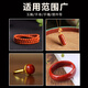 Jin Piao Nanhong maintenance oil Wenwen agate bracelet special care solution olive oil bracelet jewelry cleaning agent