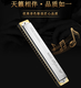 通宝TOMBO通宝口琴6624S复音24孔ABCDEFG调重音成人专业演奏高级乐器 24孔E调  全套赠品