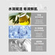 Wunuo (UNO) Japanese Multi-Effect Combination Combinación Hidratante Loción Control de aceite Hidrator Hidratando Productos de cuidado de la piel importados Originales Productos de cuidado de la piel Sunsco solar azul 80g 80G