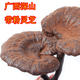 健颐年胖东来品质野生黑灵芝500克 广西十万大山整枝灵芝含孢子粉煲汤 250克
