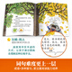 【系列自选】小羊上山儿童汉语分级读物系列第123456级全套 小羊上山分级阅读3-6岁儿童绘本幼儿园宝宝学前语文汉字启蒙识字认字早教幼小衔接故事书 【阅读器版】小羊上山第6级 全10册