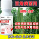 Gengfengwang bean disease medicine, bean special medicine, epidemic disease, leaf spot disease, fusarium wilt, powdery mildew virus disease, anthracnose, 100 ml (5 acres)