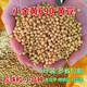 Sprouting kleiner goldener gelb 690 Sojabohnen 5 Jin [Jin entspricht 0,5 kg] Sprossen kleine Sojabohnen, um Natto -Perlen 250 g speziell 690 Sojabohnen 5 Jin zu machen [Jin entspricht 0,5 kg]