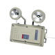 SUOYADAled explosion-proof emergency light safety exit evacuation indicator light fire type A 36V centralized power supply control 24V explosion-proof emergency light emergency 120min or more