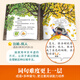 The complete set of Chinese graded reading materials for children on the lambs, grade 123456, grade 2 and 3 literacy cards, picture books, sound book, reading power, game, picture books, primary school transition, preschool kindergarten teaching materials, baby early education enlightenment cognitive story books, 0-3-6-8 years old, primary school, senior class books, parenting guide [10 volumes in total]