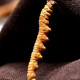 Lei Yunshang [Official] [Naru Qu, Tibet] Cordyceps Подарки и подарки для подарков для продуктов для здоровья, основная производственная зона Аутентичные Cordyceps - 5 корней/G 10G Около 50 корней