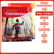 American ESL umfassende Grundschule Lehrbuch Neue Cornerstone Stufe 123456 Schülerbuch + Übungsbuch -Schüler -Set einschließlich Online -Lernkonto Level 3 Studentenbuch