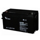 威神蓄电池6FM55 CP1270 HPS12-36W 12V3.2A9A24A65A150A200A UPS电源 CP12170 12V17AH