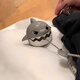Suli KeyChain Schoolbag Вытягивает линии маленькие подвесные подарки для акулы подарки для девочек Fun Thing
