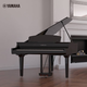Yamaha (Yamaha) importierte High-End-vertikale CLP625/635/88 Key Hammer Hammer Adult Hammer Children Professional Grade Home Appano CLP-695GP (Schwarz)