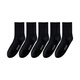 Jeanswest men's socks spring new style ribbed mouth tightness pure cotton stockings 5 ​​pairs YM black 2010 5 pairs F